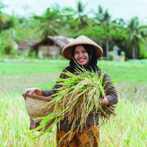 Our Story Yama Agro