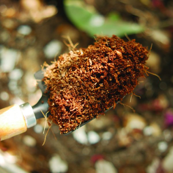 Yama Organic Coconut Peat